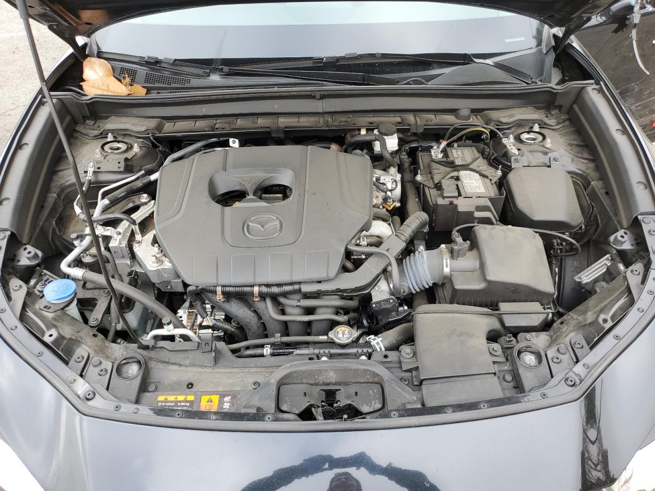 2023 MAZDA CX-30 PREFERRED VIN:3MVDMBCM5PM515372