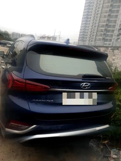 2019 Hyundai Santa FE KMHS281CBKU005143 VIN:KMHS281CBKU005143