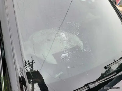 2019 Mercedes-Benz CLS 400 WDD2J2DB0KA046282 VIN:WDD2J2DB0KA046282