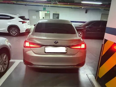 2021 Lexus ES 300 JTHBA1C19M2005366 VIN:JTHBA1C19M2005366