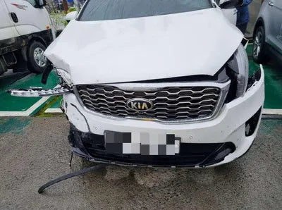2019 Kia Sorento KNAPS81BDLA636099 VIN:KNAPS81BDLA636099