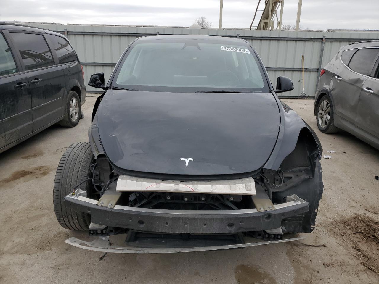 2024 TESLA MODEL Y  VIN:7SAYGDEE4RF024829