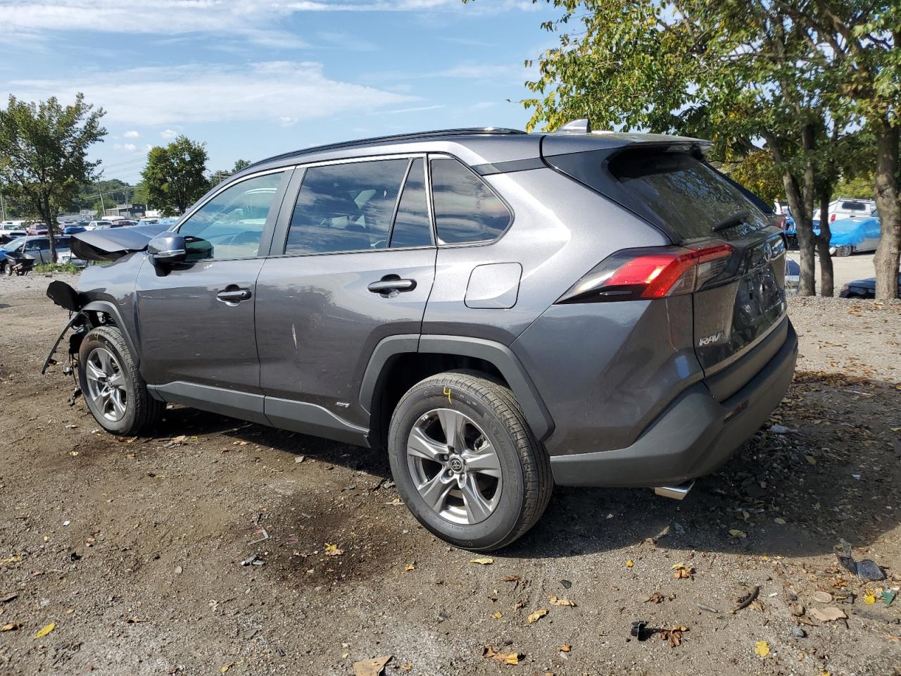 2024 TOYOTA RAV4 XLE VIN:4T3RWRFV7RU123770