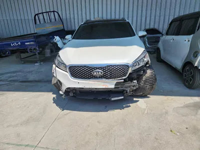 2016 Kia Sorento KNAPK81ABGA223493 VIN:KNAPK81ABGA223493