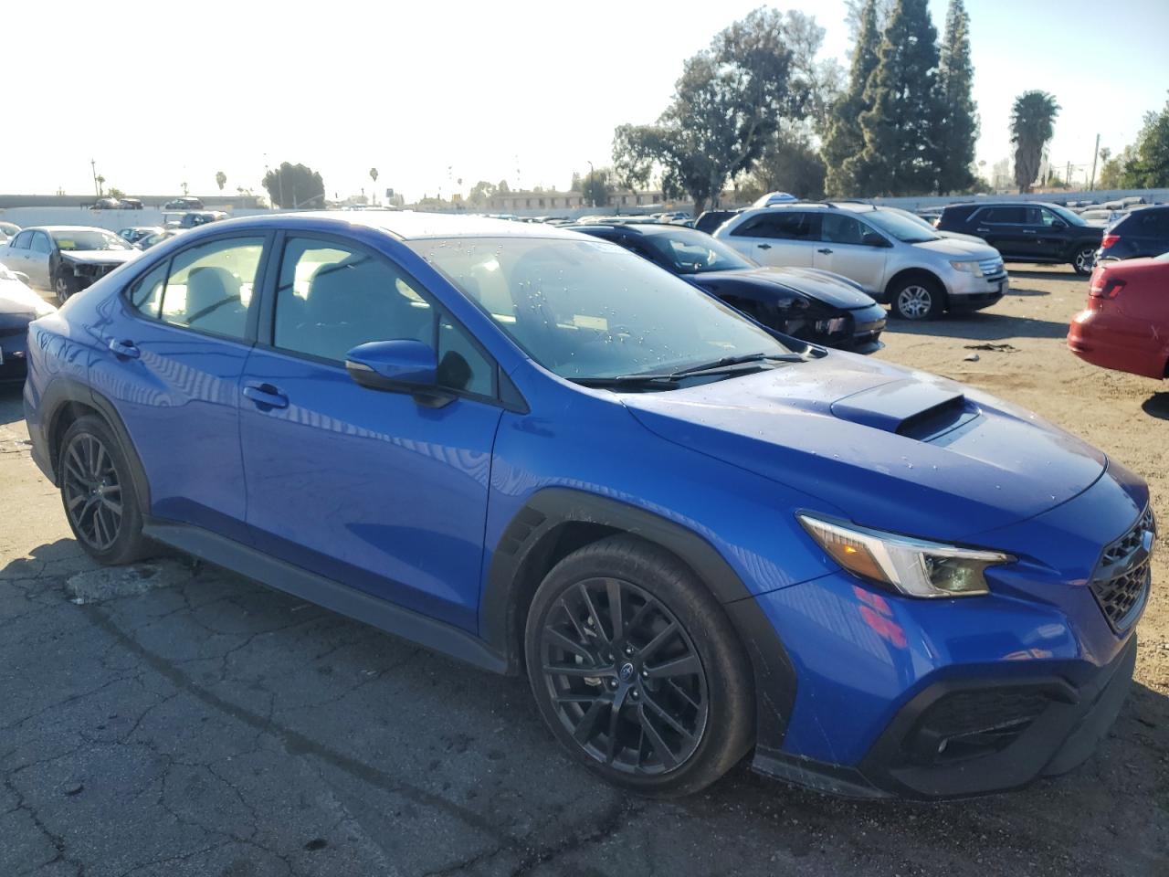 2023 SUBARU WRX LIMITED VIN:JF1VBAL63P9820591