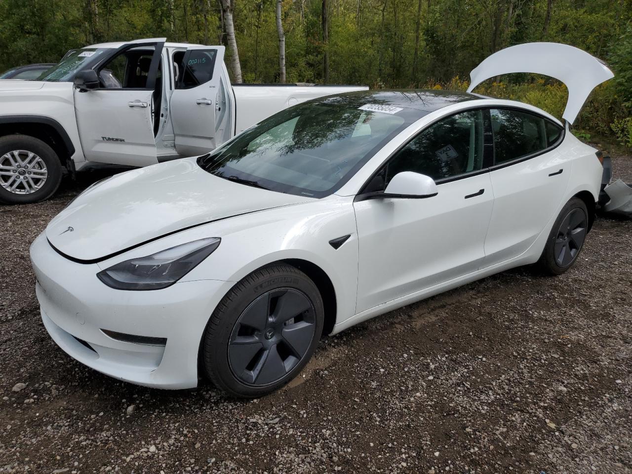 2023 TESLA MODEL 3  VIN:5YJ3E1EA4PF482554