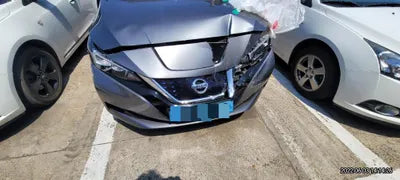 2019 Nissan Leaf 1N4AZ1CP7KC306645 VIN:1N4AZ1CP7KC306645