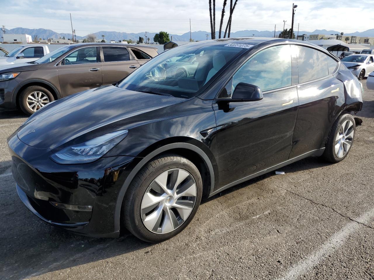 2022 TESLA MODEL Y  VIN:7SAYGDEE8NF329275