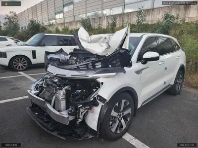 2021 Kia Sorento KNARF81BGMA095607 VIN:KNARF81BGMA095607