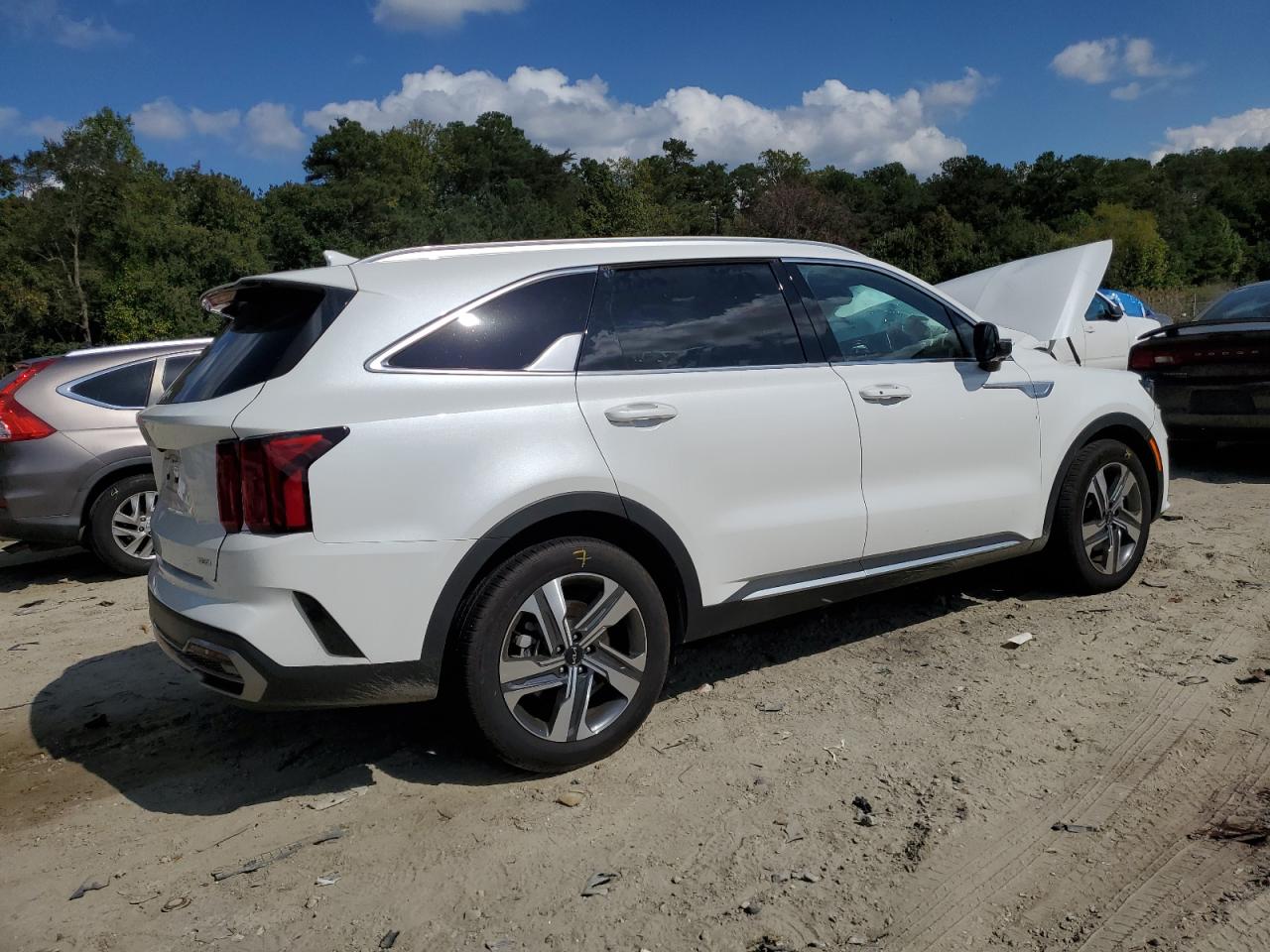 2023 KIA SORENTO SXP VIN:KNDRKDLG8P5199393