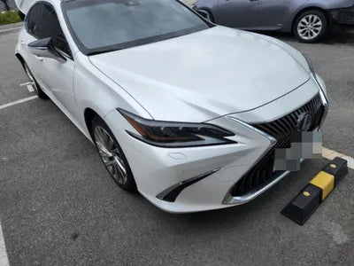 2019 Lexus ES 300 VIN: