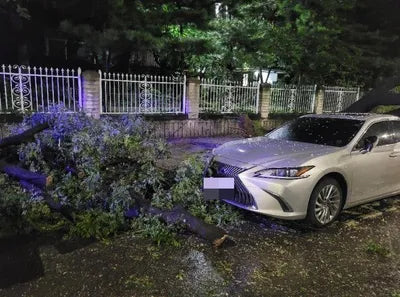 2018 Lexus ES 300 VIN: