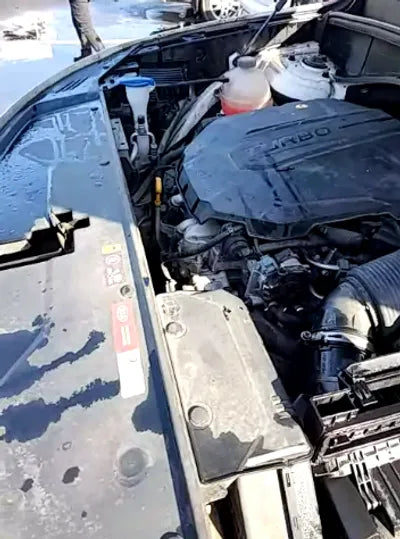 2021 Kia Sorento KNARF81BGMA104013 VIN:KNARF81BGMA104013
