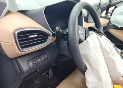 2021 Hyundai Santa FE KMHS581HGMU396744 VIN:KMHS581HGMU396744