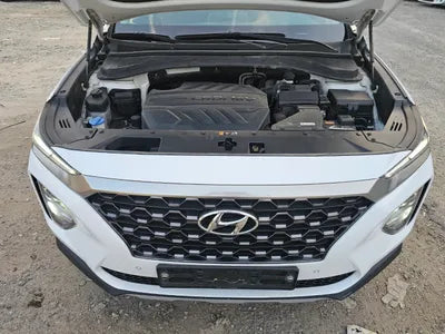 2019 Hyundai Santa FE KMHS381BBKU028725 VIN:KMHS381BBKU028725