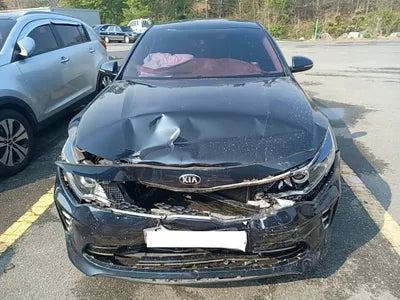 2016 Kia K5 KNAGU411BGA099622 VIN:KNAGU411BGA099622