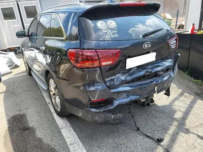 2019 Kia Sorento KNAPK81BBLA562518 VIN:KNAPK81BBLA562518