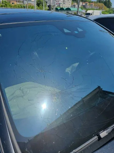 2022 Mercedes-Benz E 350 W1KZF8GB8NB048858 VIN:W1KZF8GB8NB048858