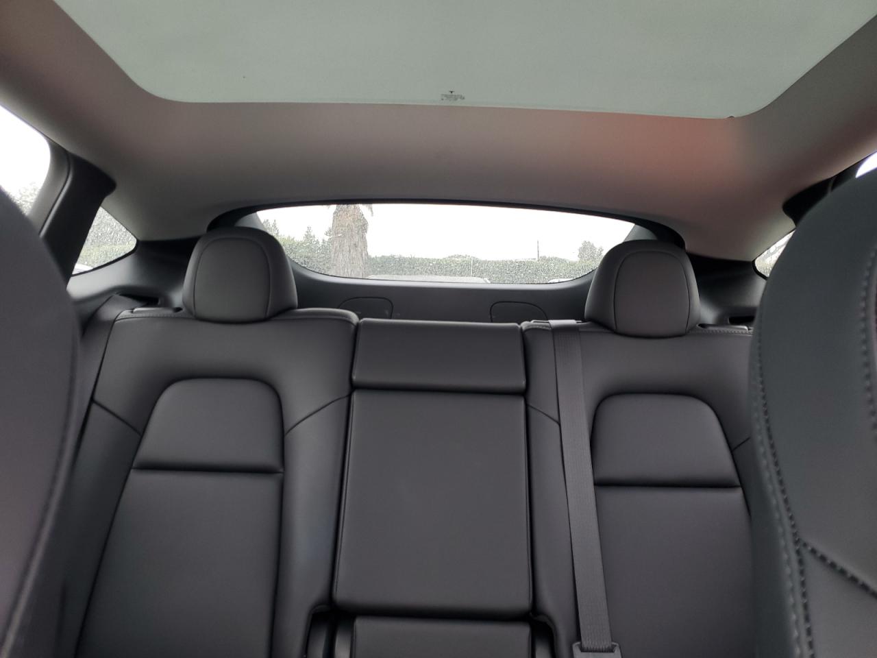 2023 TESLA MODEL Y  VIN:7SAYGDEE1PF669578
