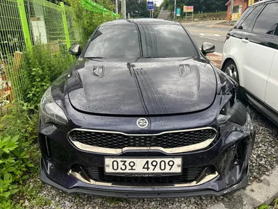 2019 Kia Stinger KNAE351ADKS045666 VIN:KNAE351ADKS045666