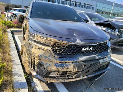 2023 Kia Sorento KNARL81GBPA144089 VIN:KNARL81GBPA144089