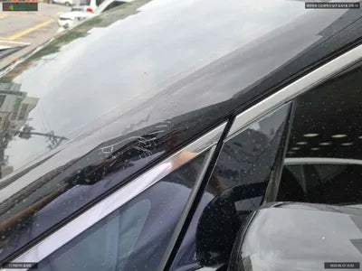 2020 Kia Carnival KNAME81ABLS664318 VIN:KNAME81ABLS664318
