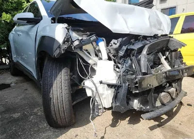 2019 Hyundai Kona KMHK7815GKU427643 VIN:KMHK7815GKU427643