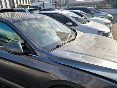 2020 Volkswagen Jetta WVWZZZBUZLM095087 VIN:WVWZZZBUZLM095087