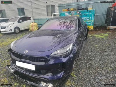 2017 Kia Stinger KNAE751CDJS001317 VIN:KNAE751CDJS001317