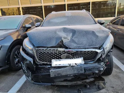 2016 Kia Sorento KNAPK81BDHA295926 VIN:KNAPK81BDHA295926