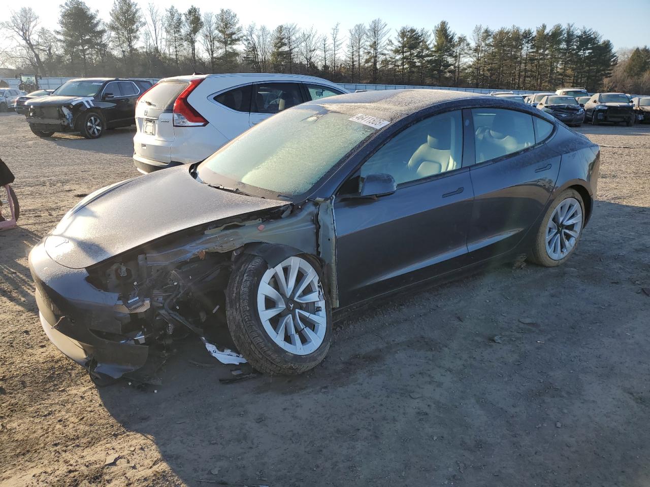 2023 TESLA MODEL 3  VIN:5YJ3E1EB3PF703943