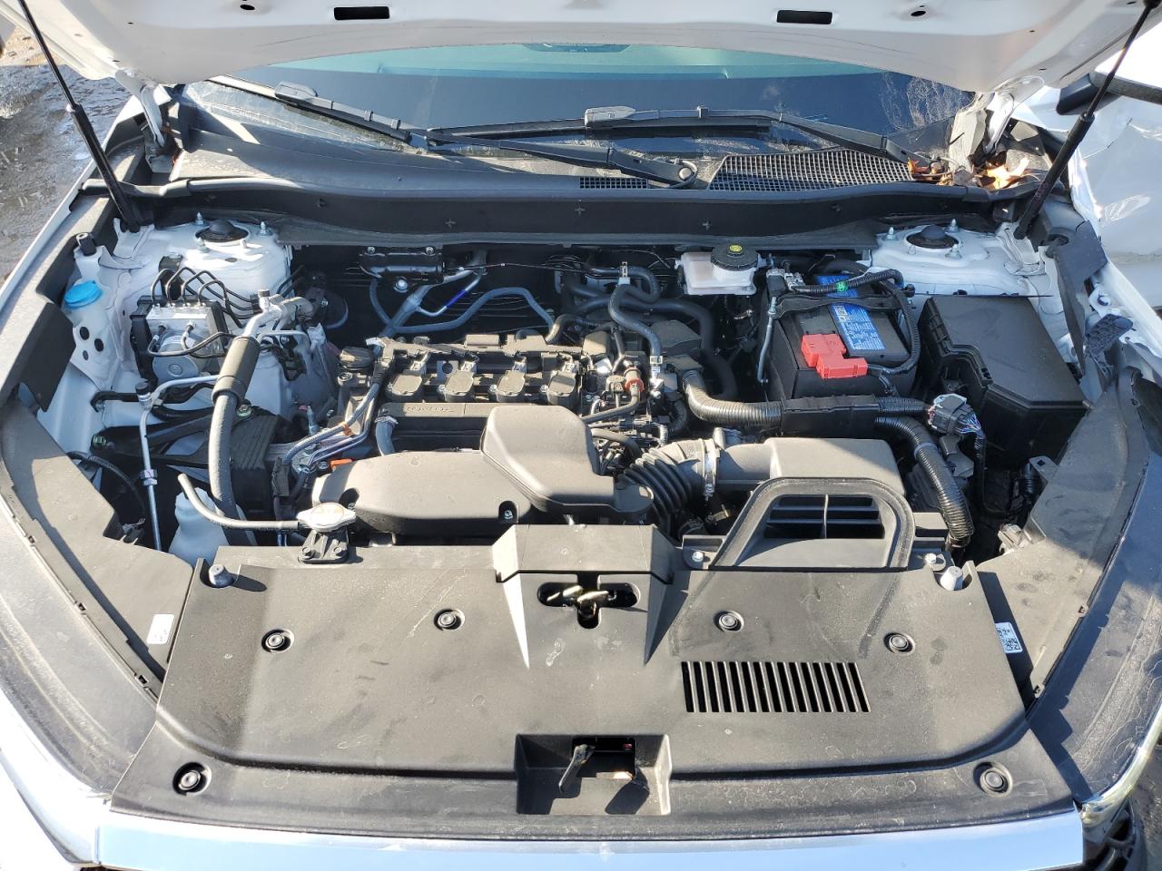 2024 HONDA CR-V EXL VIN:2HKRS4H79RH422505