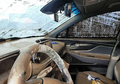 2019 Hyundai Santa FE KMHS381BDKU033487 VIN:KMHS381BDKU033487
