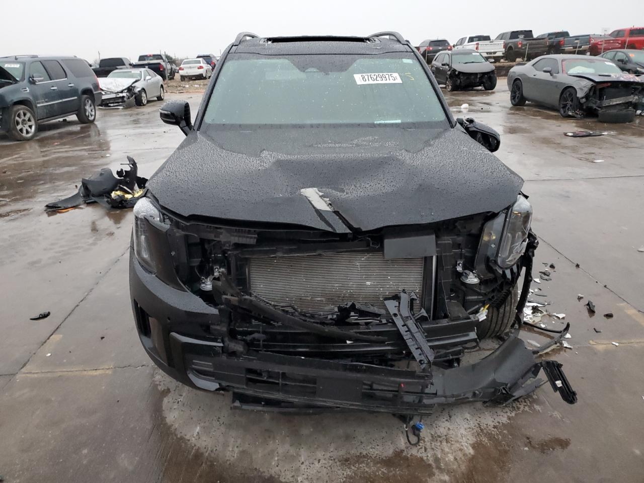 2024 KIA TELLURIDE SX VIN:5XYP5DGC2RG472294