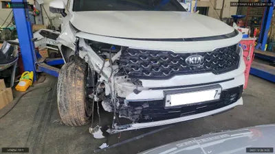 2020 Kia Sorento KNARL81BGMA024775 VIN:KNARL81BGMA024775