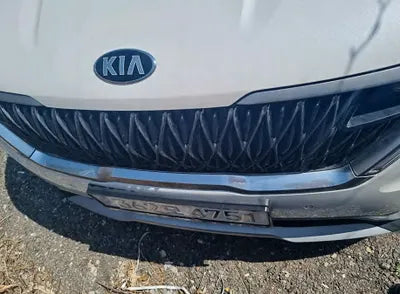 2021 Kia Carnival KNANB81BBMS042003 VIN:KNANB81BBMS042003