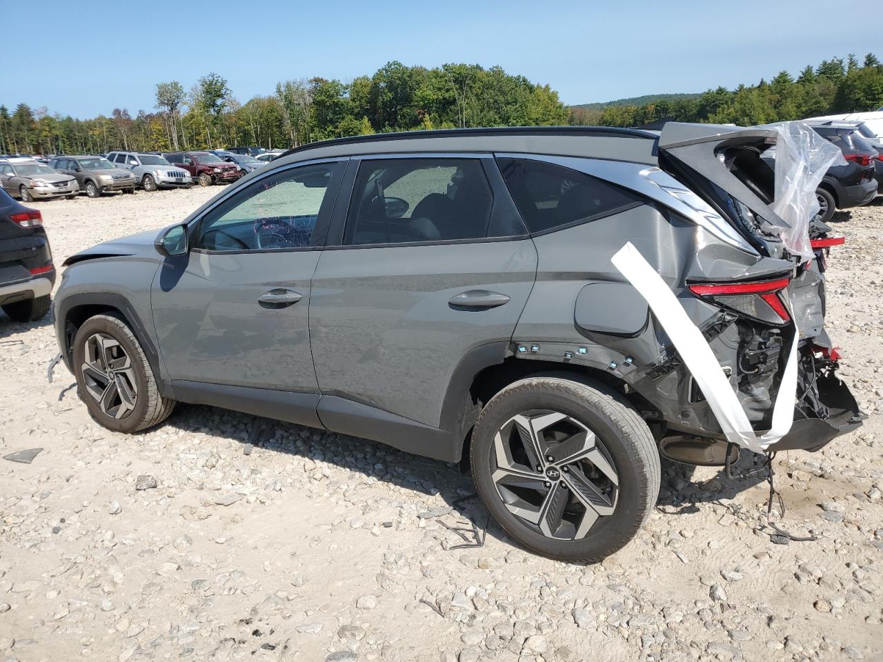 2024 HYUNDAI TUCSON SEL VIN:5NMJFCDE0RH296046