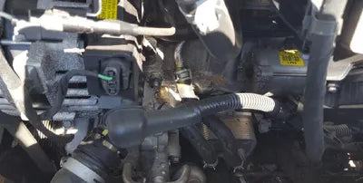 2020 Kia K5 KNAG1412BLA071861 VIN:KNAG1412BLA071861