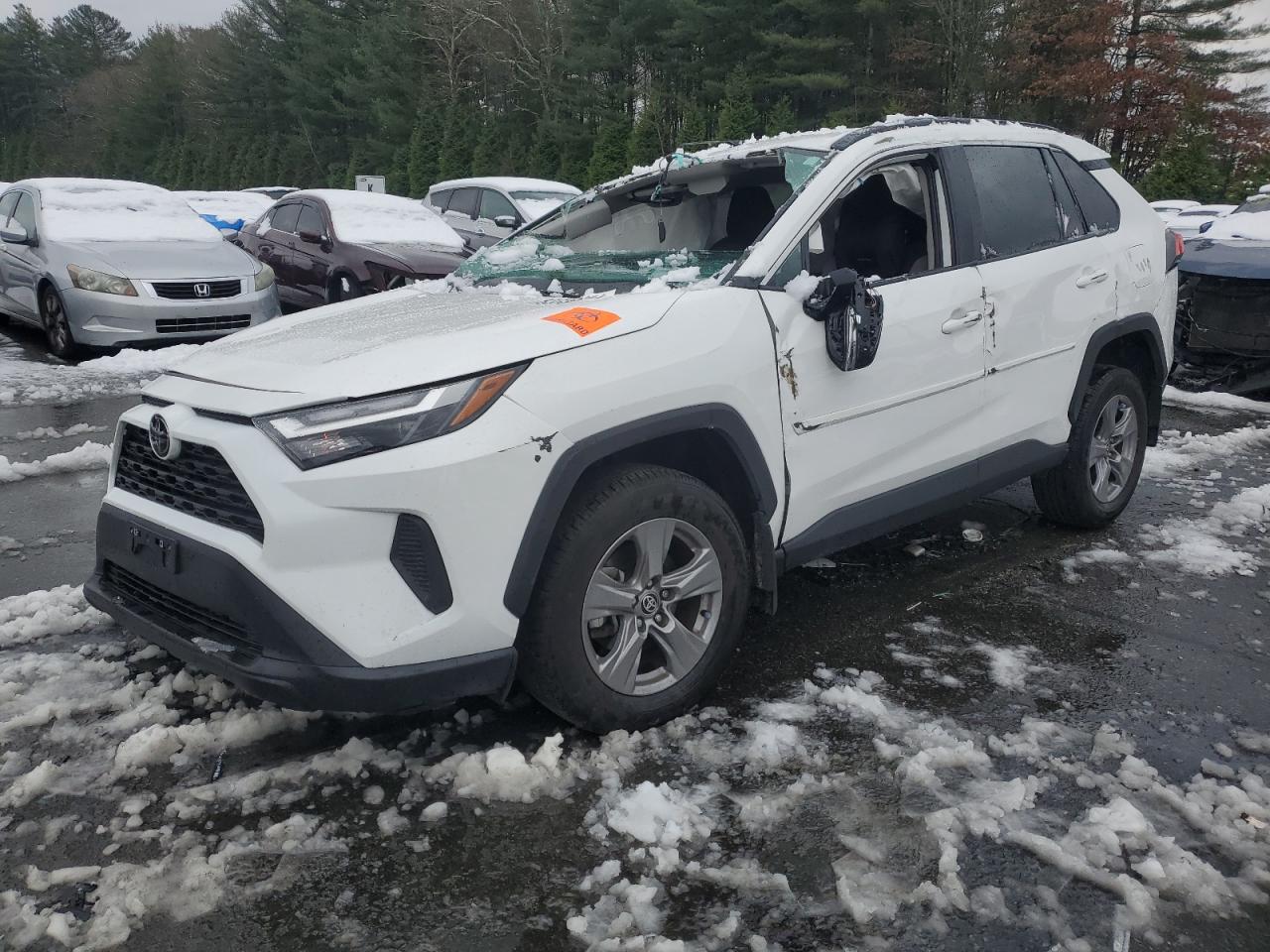 2024 TOYOTA RAV4 XLE VIN:2T3P1RFV6RC394956
