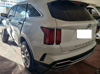 2021 Kia Sorento KNARH81BGMA010319 VIN:KNARH81BGMA010319