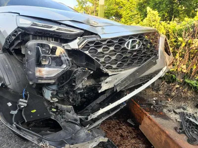 2019 Hyundai Santa FE KMHS381BBKU156411 VIN:KMHS381BBKU156411