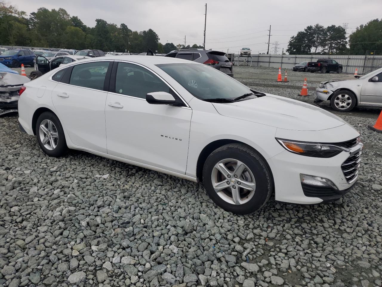 2024 CHEVROLET MALIBU LT VIN:1G1ZD5ST8RF120437