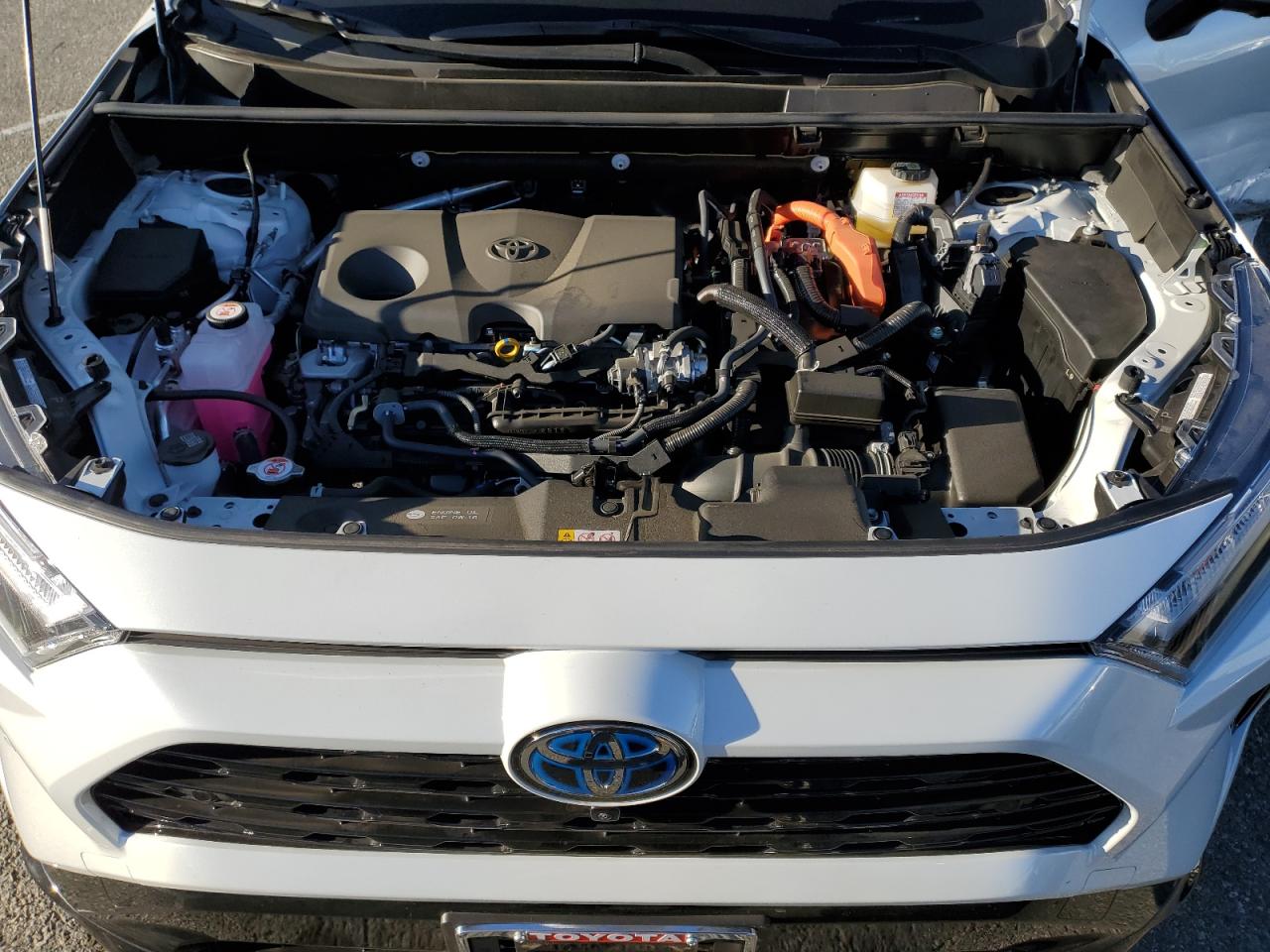 2023 TOYOTA RAV4 XSE VIN:JTME6RFV8PD549055