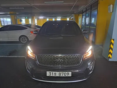 2017 Kia Sorento KNAPS81ABHA377305 VIN:KNAPS81ABHA377305