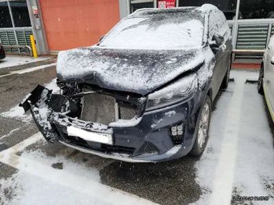 2019 Kia Sorento KNAPK81BDKA523137 VIN:KNAPK81BDKA523137