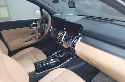 2022 Kia Sorento KNARF81FGNA161865 VIN:KNARF81FGNA161865