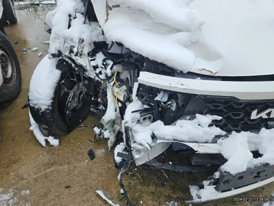 2022 Kia Sorento KNARL81GBNA112583 VIN:KNARL81GBNA112583