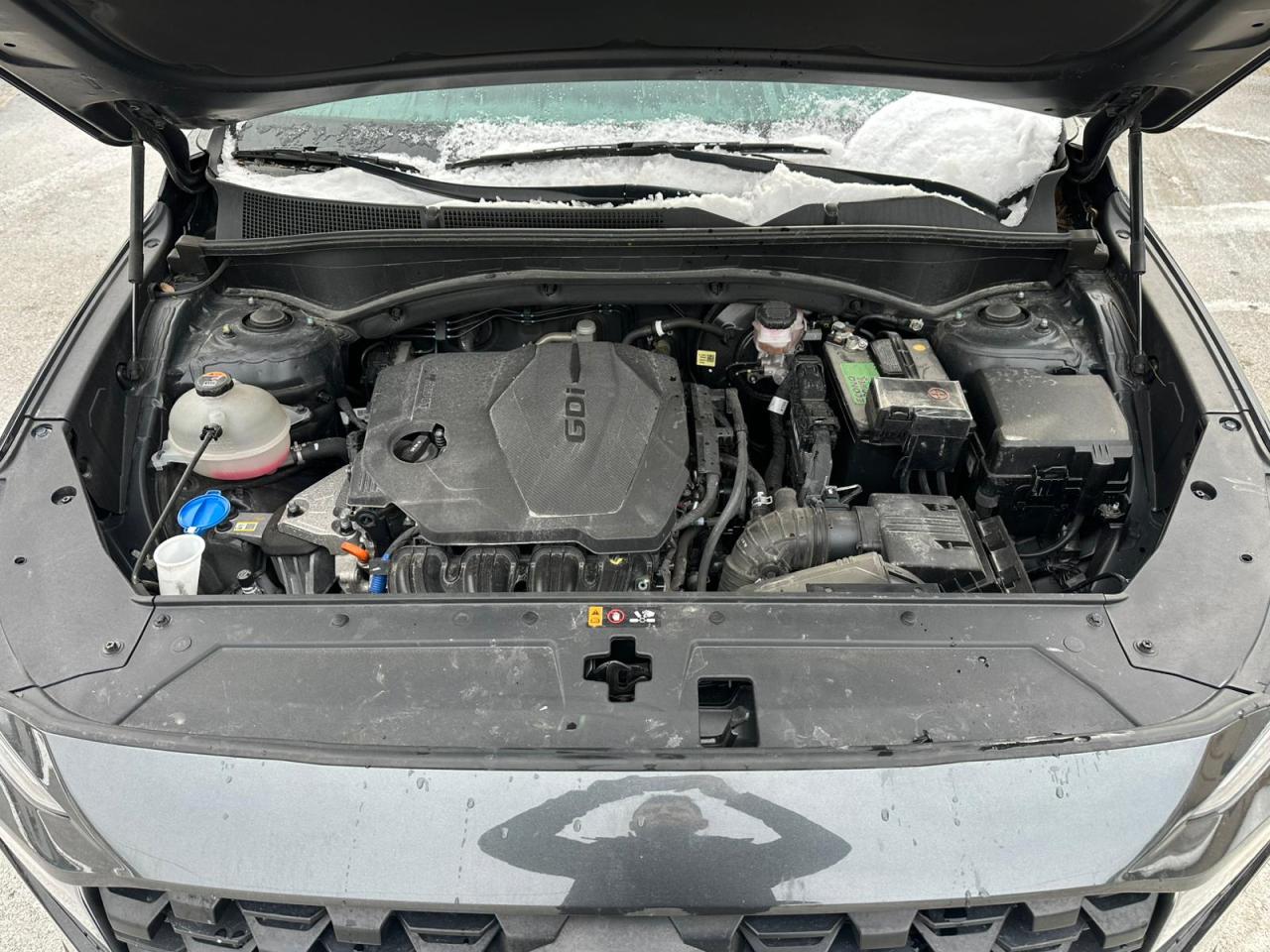 2023 HYUNDAI SANTA FE XRT VIN:5NMS64AJ1PH531885