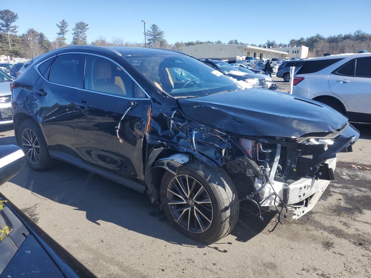 2024 LEXUS NX 350 BASE VIN:2T2AGCEZ2RC046341