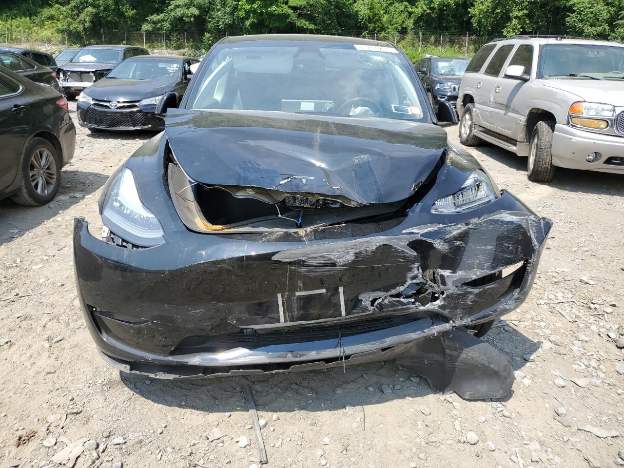 2023 TESLA MODEL Y  VIN:7SAYGDEE1PA149474